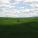Toscana 2008 - Altro che wallpaper di windows